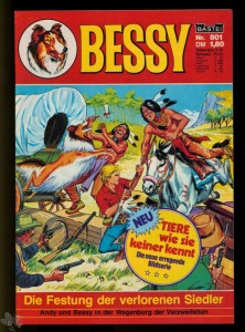 Bessy 801