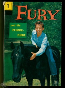 Fury 1 (Neuer Tessloff Verlag)