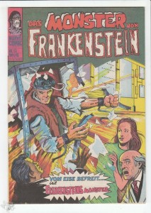 Frankenstein 13