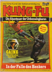 Kung-Fu 8