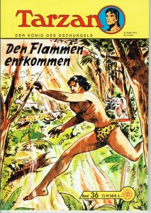 Tarzan - Der König des Dschungels (Hethke) 36: Den Flammen entkommen