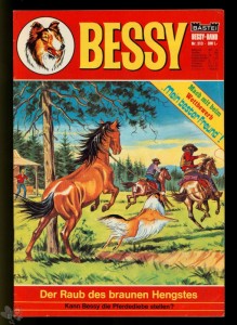 Bessy 313
