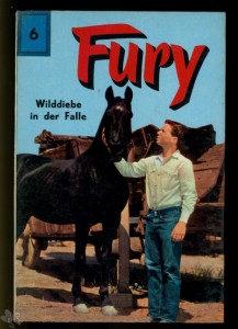 Fury 6 (Neuer Tessloff Verlag)