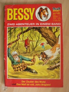 Bessy Doppelband 71