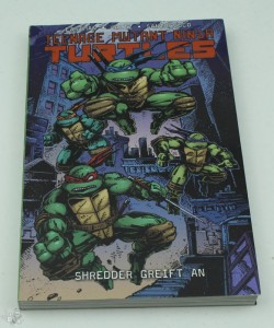 Teenage Mutant Ninja Turtles 10: Schredder greift an