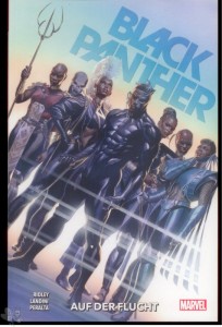 Black Panther 2: Auf der Flucht
