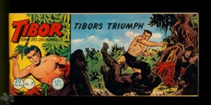 Tibor - Sohn des Dschungels (Lehning) 7: Tibors Triumph