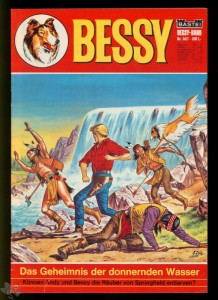 Bessy 307
