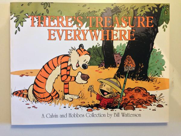 Calvin and Hobbes: Theres Treasure Everywhere SC (Bill Waterston)