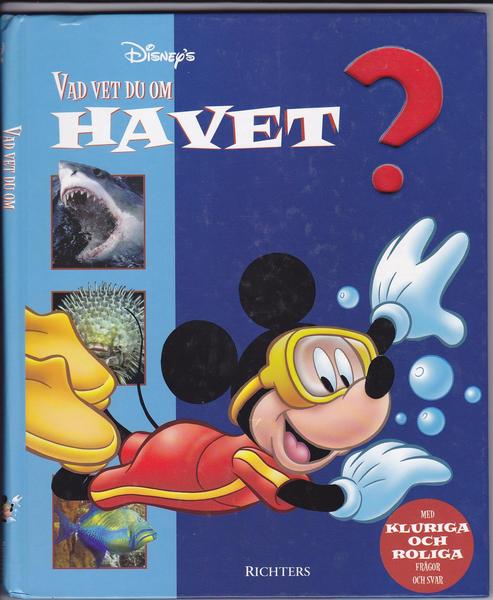Schwedisches Disney Kinderbuch
