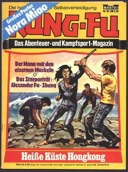 Kung-Fu 95: