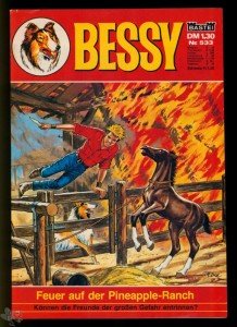 Bessy 533