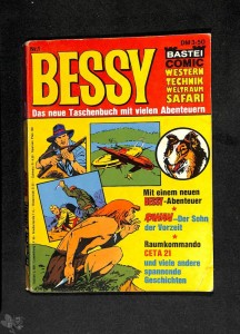 Bessy (Taschenbuch) 1