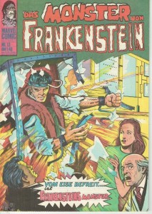 Frankenstein 13