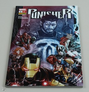 Punisher 4: Gejagt