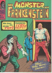 Frankenstein 17