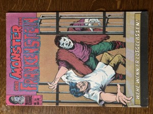 Frankenstein 28