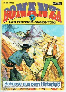 Bonanza 28