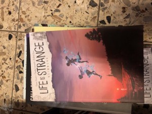 Life is strange 5: Heimkehr