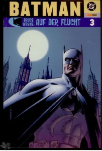 Batman: Bruce Wayne - Auf der Flucht 3