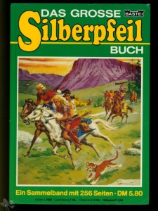 Das große Silberpfeil - Buch 6