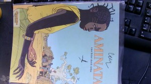 Aminata : Eine Reise durch Afrika
