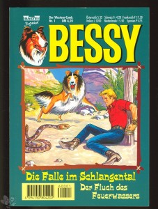 Bessy (Taschenbuch) 1