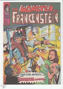 Frankenstein 13