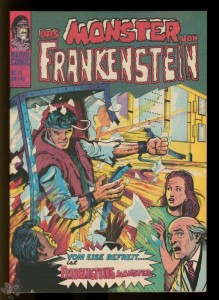 Frankenstein 13