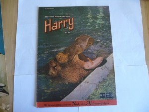 Harry - Die bunte Jugendzeitung 50