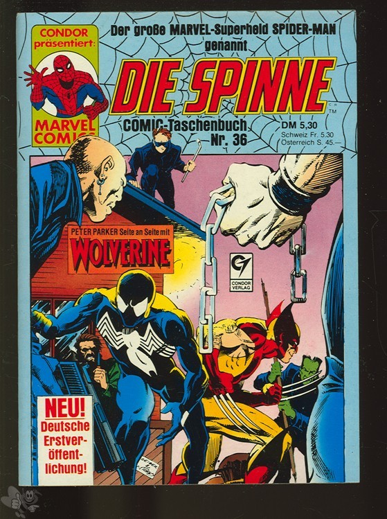 Die Spinne 36