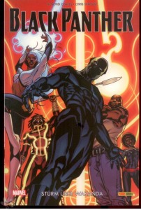 Black Panther 2: Sturm über Wakanda