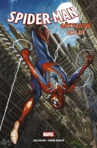 Spider-Man: Göttliche Gnade : (Hardcover)