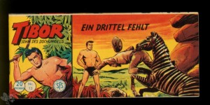 Tibor - Sohn des Dschungels (Lehning) 13: Ein Drittel fehlt