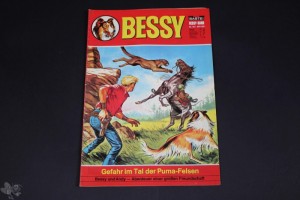 Bessy 163: Gefahr im Tal der Puma-Felsen