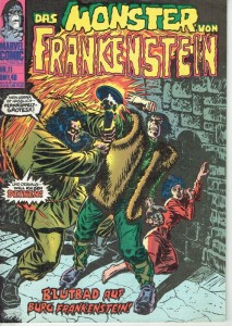 Frankenstein 11