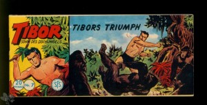Tibor - Sohn des Dschungels (Lehning) 7: Tibors Triumph