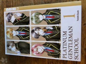 Platinum Gentleman School 1