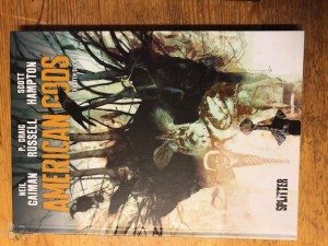 American Gods 1: Schatten