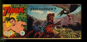 Tibor - Sohn des Dschungels (Lehning) 164: Erschossen ?