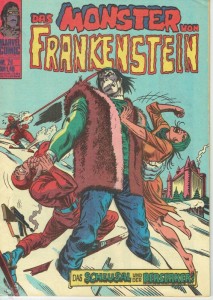 Frankenstein 20