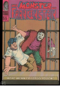 Frankenstein 28