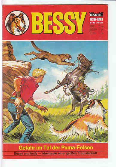 Bessy 163: Gefahr im Tal der Puma-Felsen