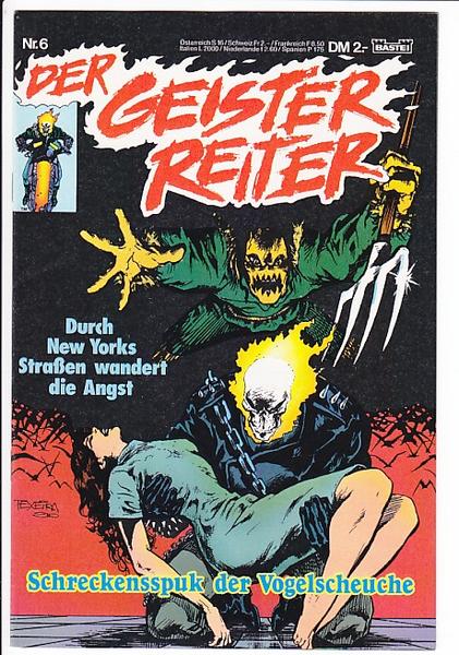 Der Geister Reiter 6: Schreckensspuk der Vogelscheuche