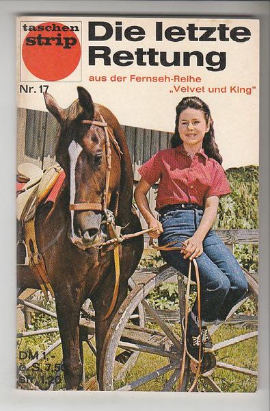 Taschenstrip 17: Die letzte Rettung