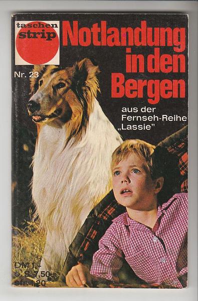 Taschenstrip 23: Notlandung in den Bergen