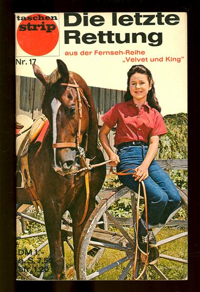 Taschenstrip 17: Die letzte Rettung