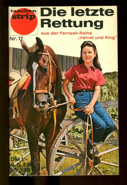 Taschenstrip 17: Die letzte Rettung
