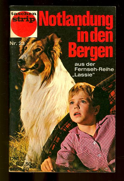 Taschenstrip 23: Notlandung in den Bergen